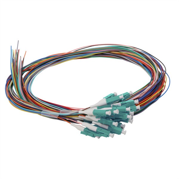 24 Fiber Pigtail, LC/UPC, 900 µm, 50 µm OM3-4, 1m